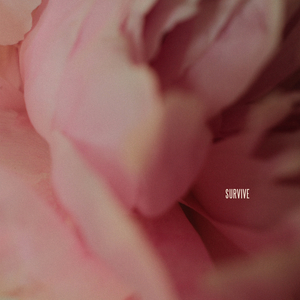 男女交接性生活视频大全
